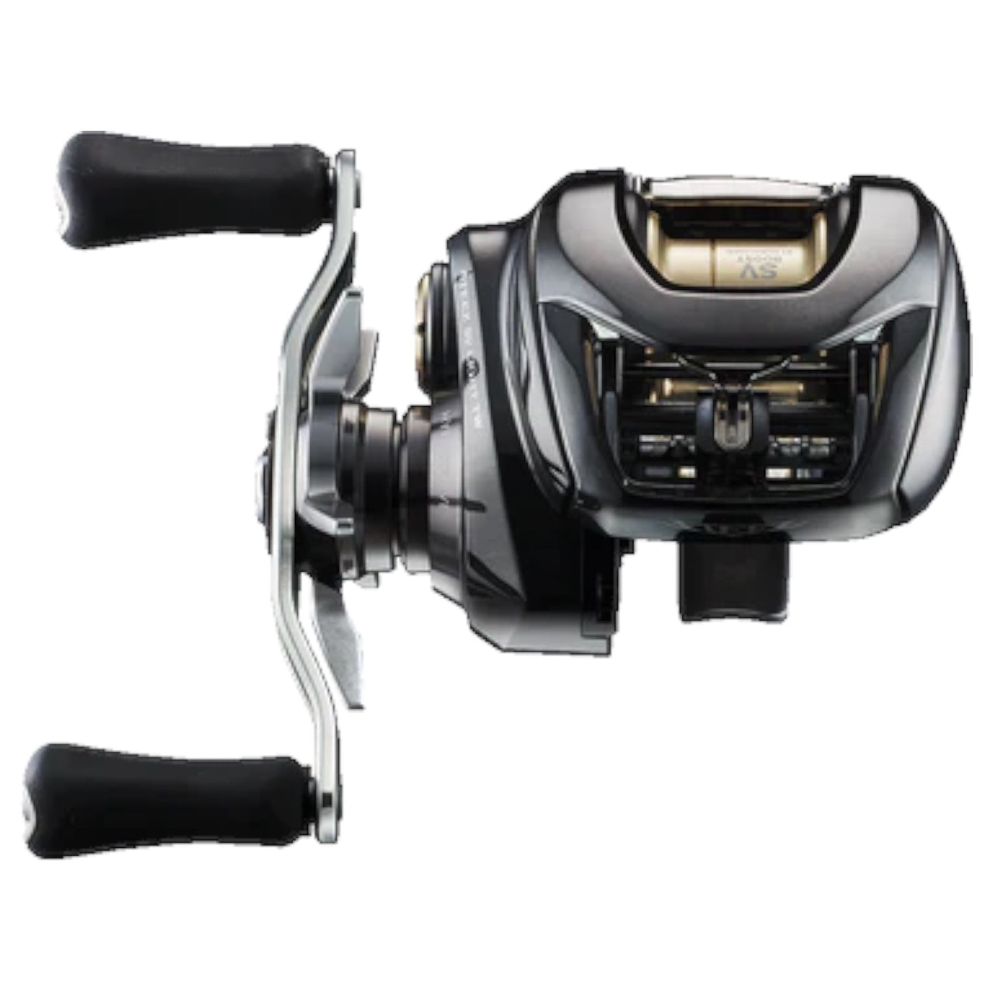 Daiwa Steez SV Light TW 100 Casting Reel - NEW 2026