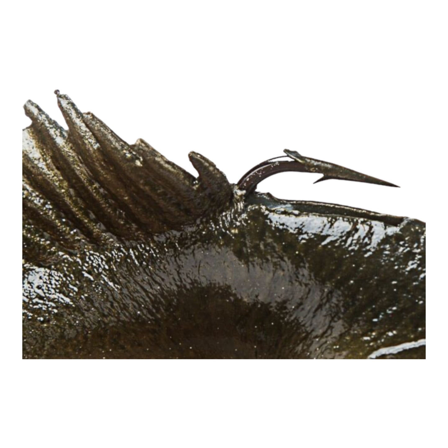 Huddleston Deluxe Huddgill Top Hook Swimbaits ROF 12 Choose Bluegill or Crappie