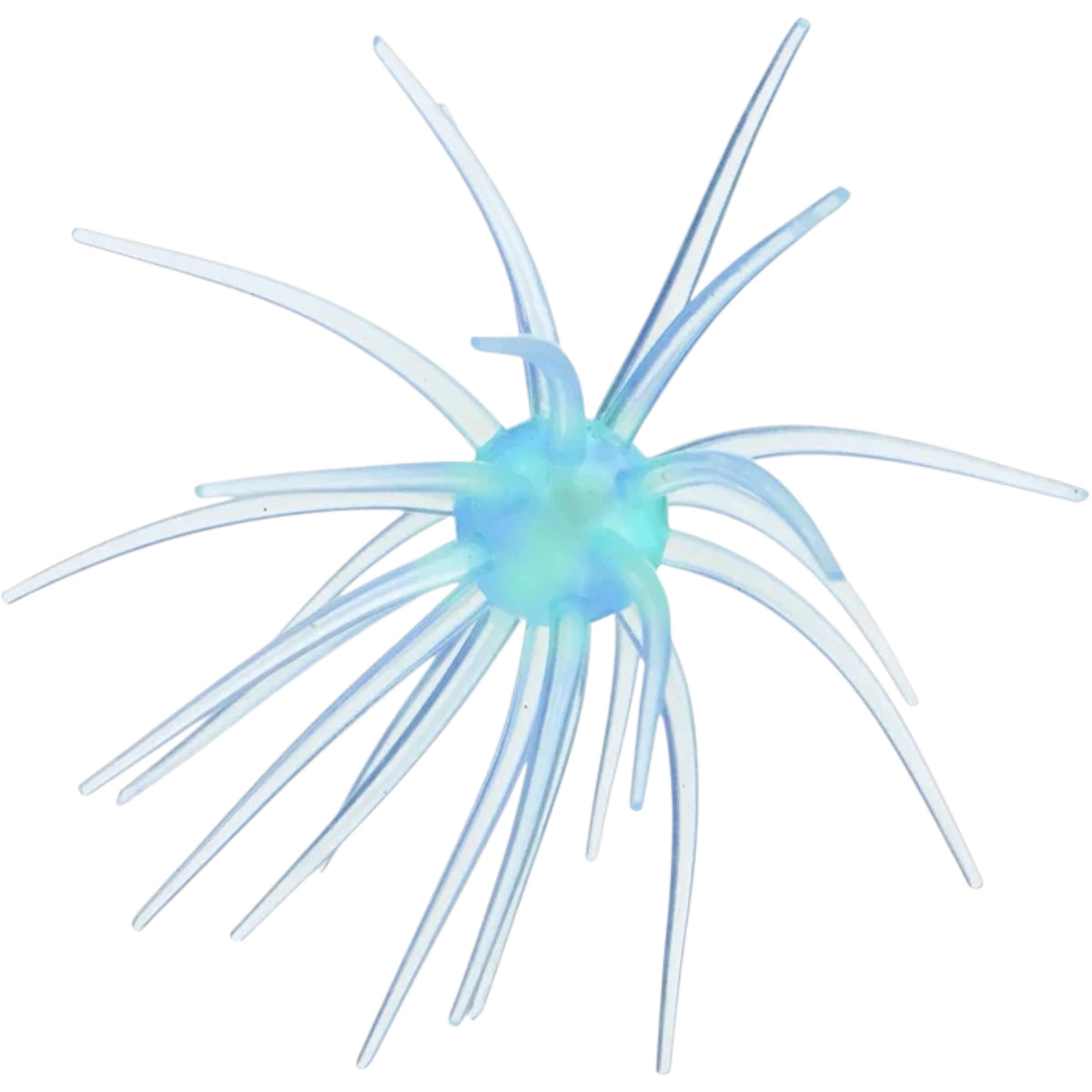 Hag's Baits Prickly Pear Big Tex 25mm Urchin Bait