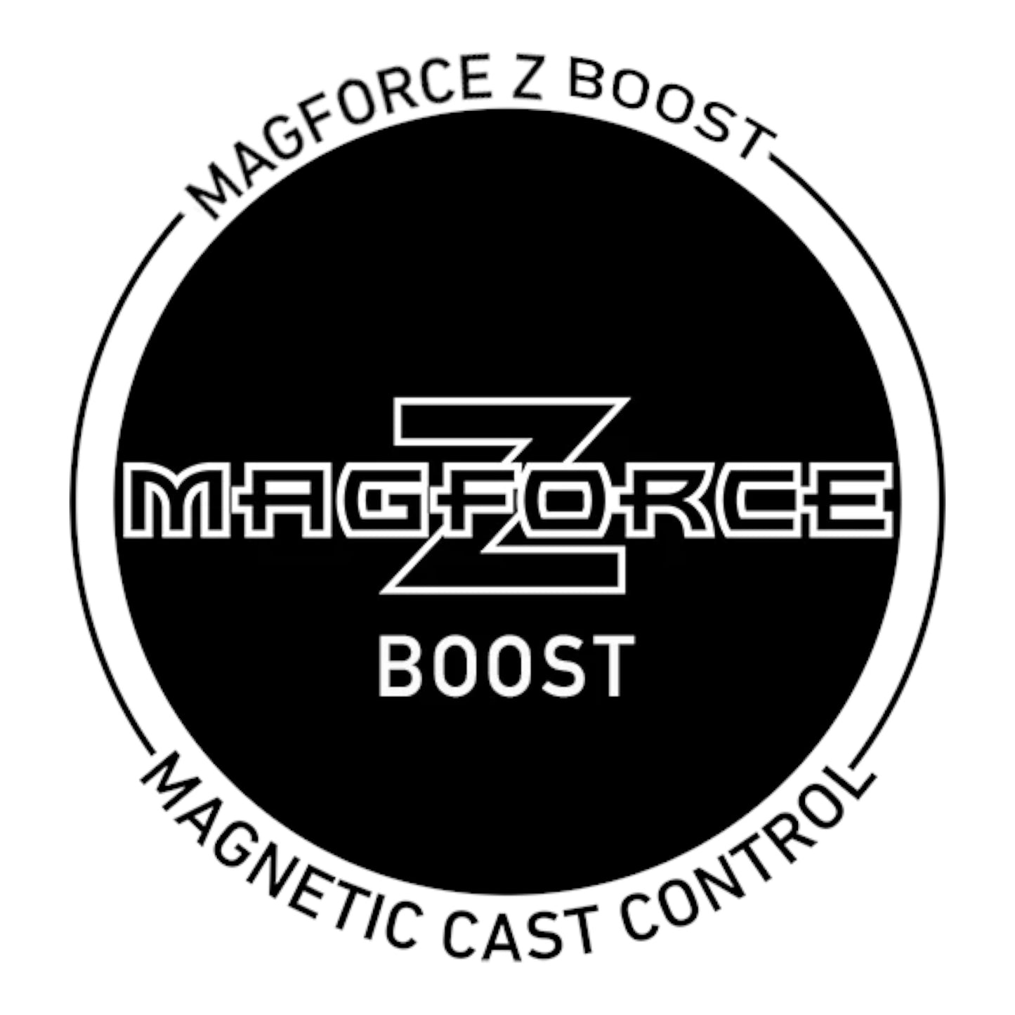 Daiwa STEEZ A 100 Casting Reel