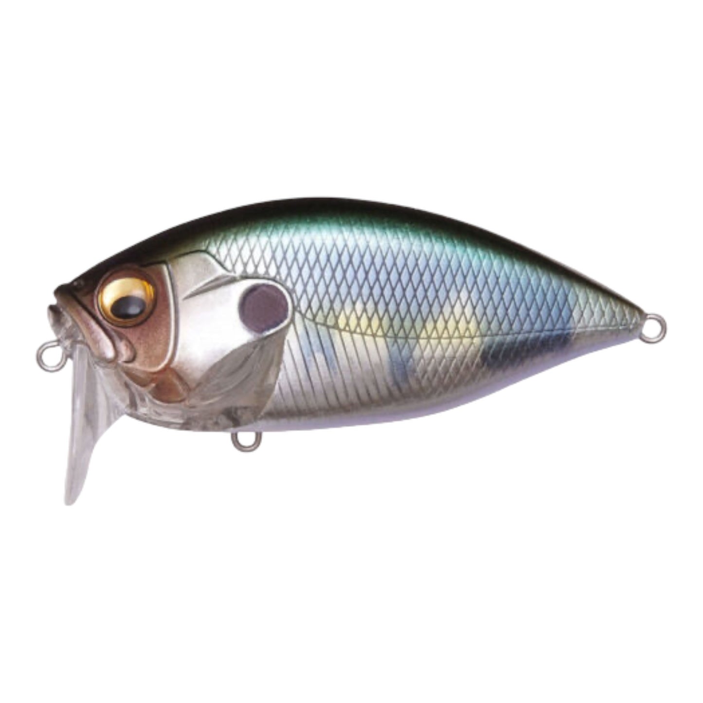Megabass O.R.C. Burning Shad ORC Wakebait