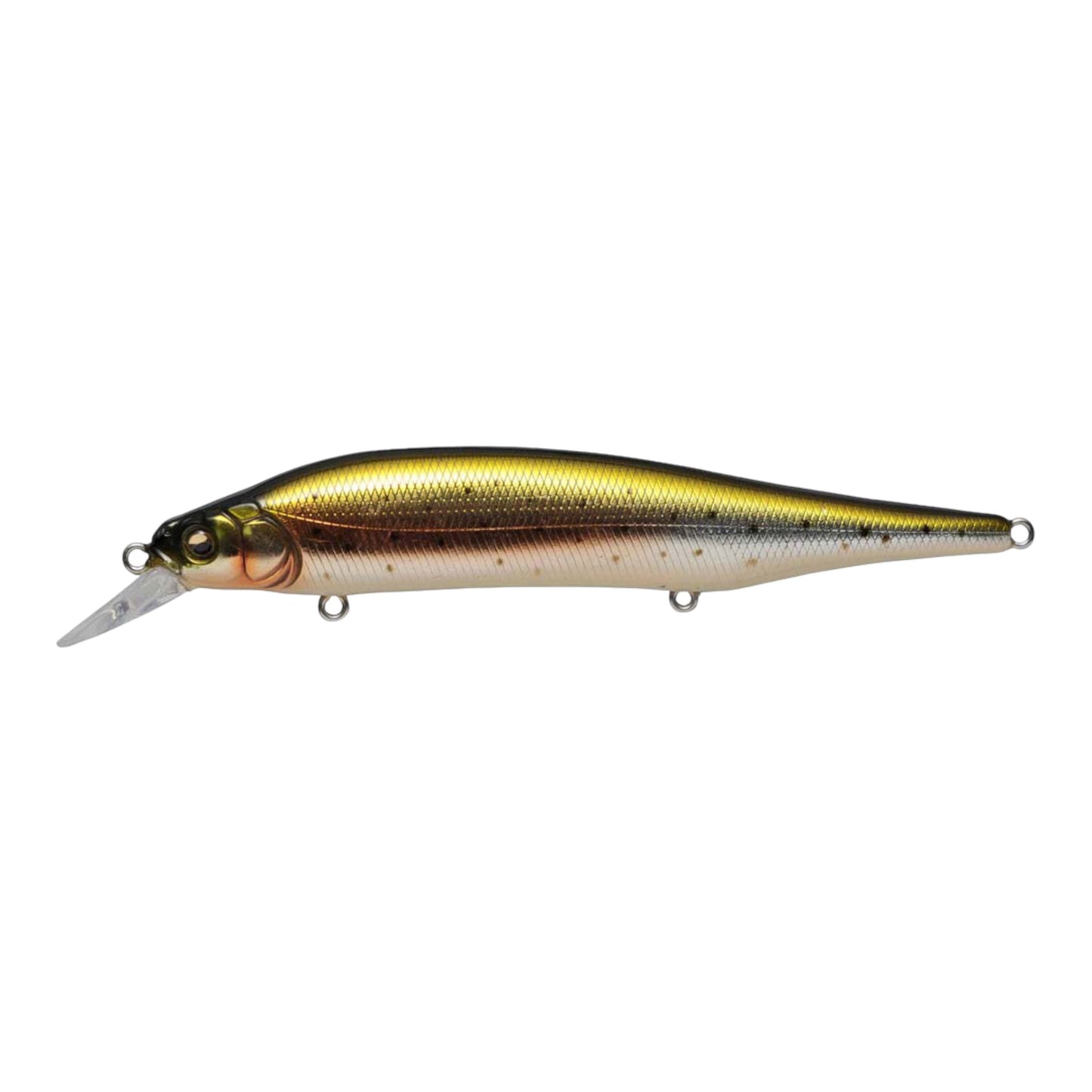 Megabass Ito Shiner Jerkbait