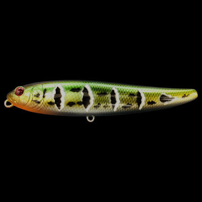 Dranckrazy Tailot Topwater Walking Bait