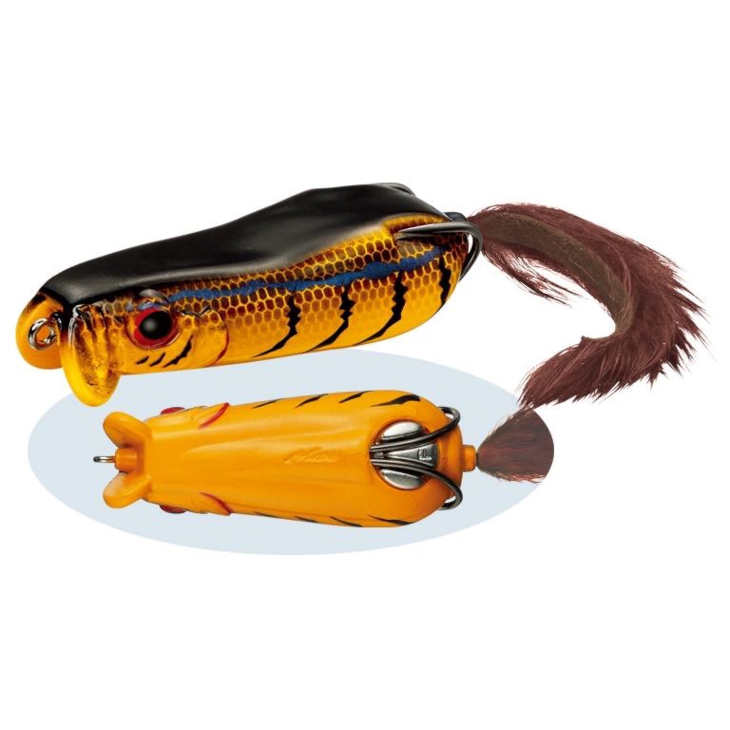 Evergreen MoDo Showerblows Softshell Frog