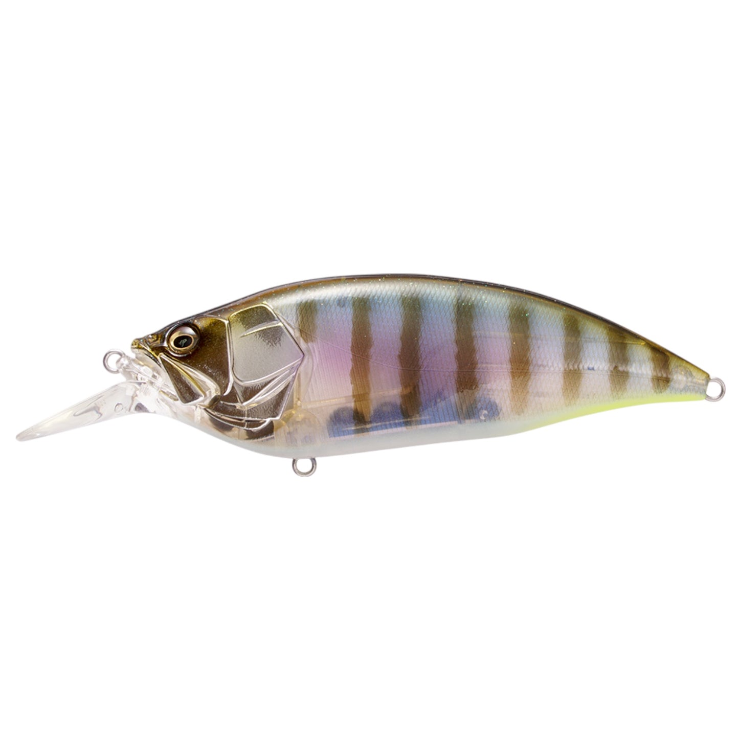 Megabass Big-M 4.0 Crankbaits