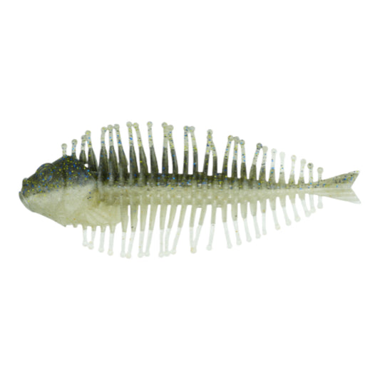 DStyle Geelacanth