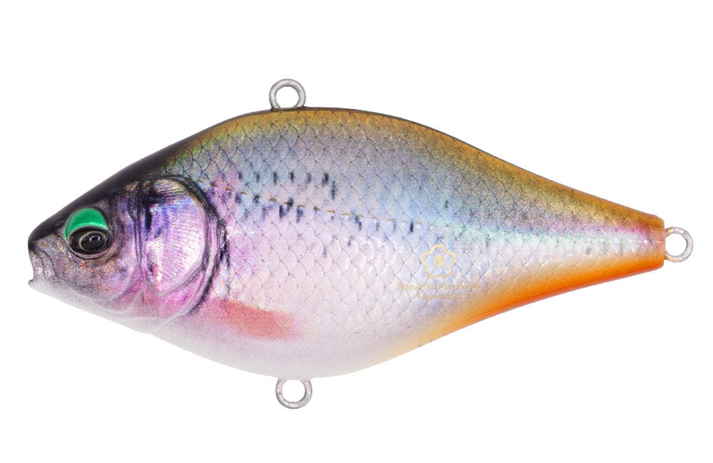 Issei x Little Jack Hera Vibe 65
