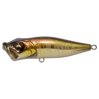Megabass Pop X Popper