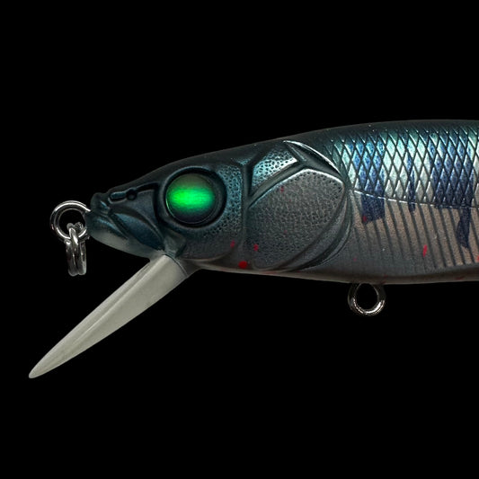 TRT Exclusive Limited Megabass Frozen Bloody Hasu