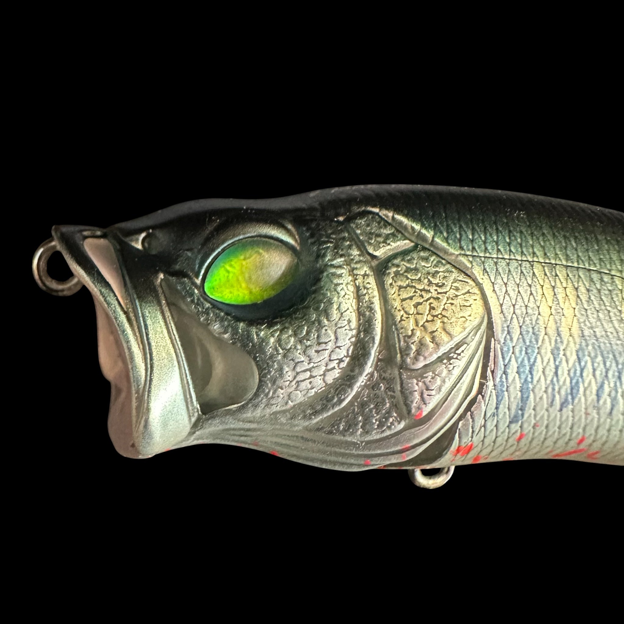 TRT Exclusive Megabass Popmax in Frozen Bloody Hasu (Limit 8