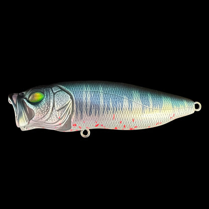 TRT Exclusive Megabass Popmax in Frozen Bloody Hasu