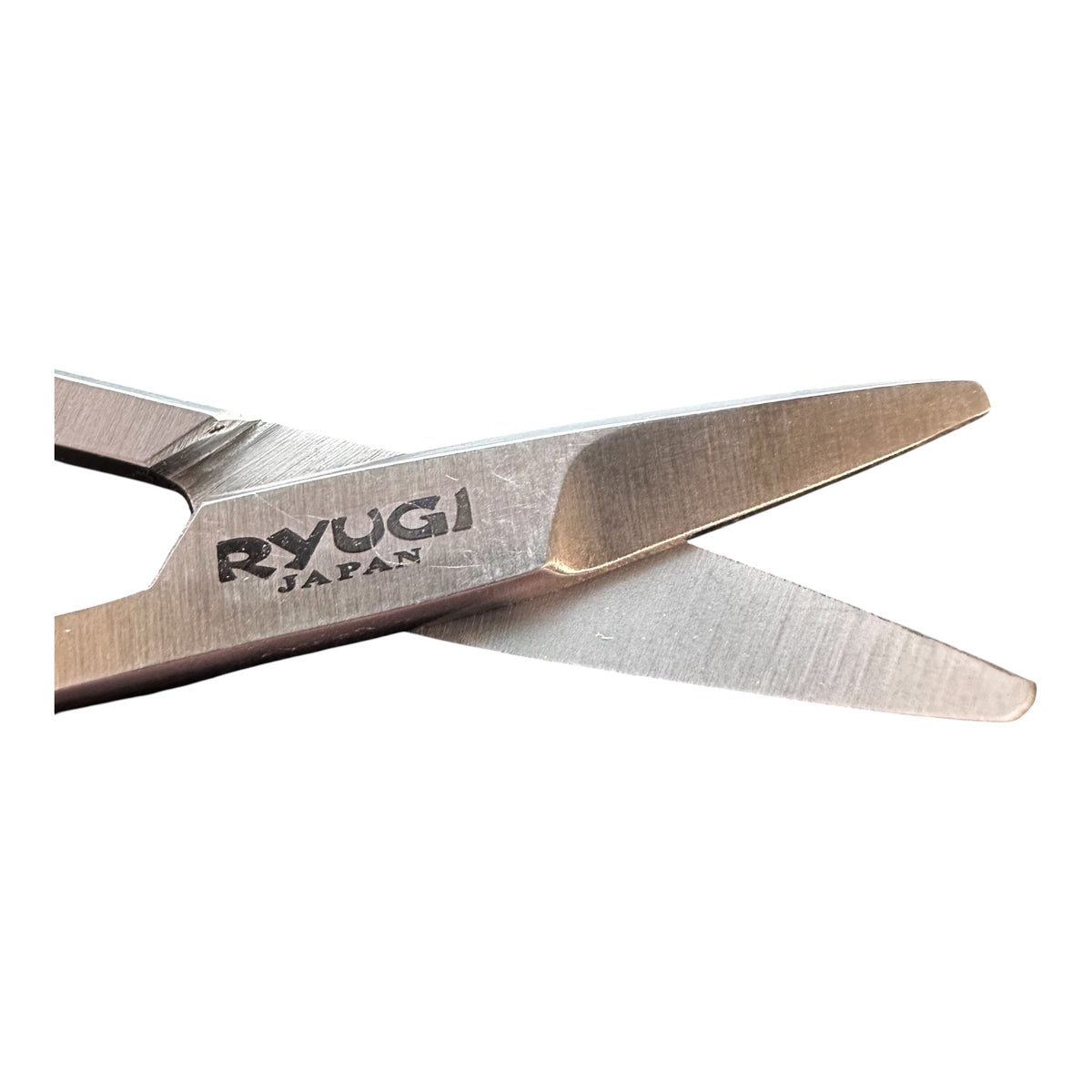 Ryugi R Scissors