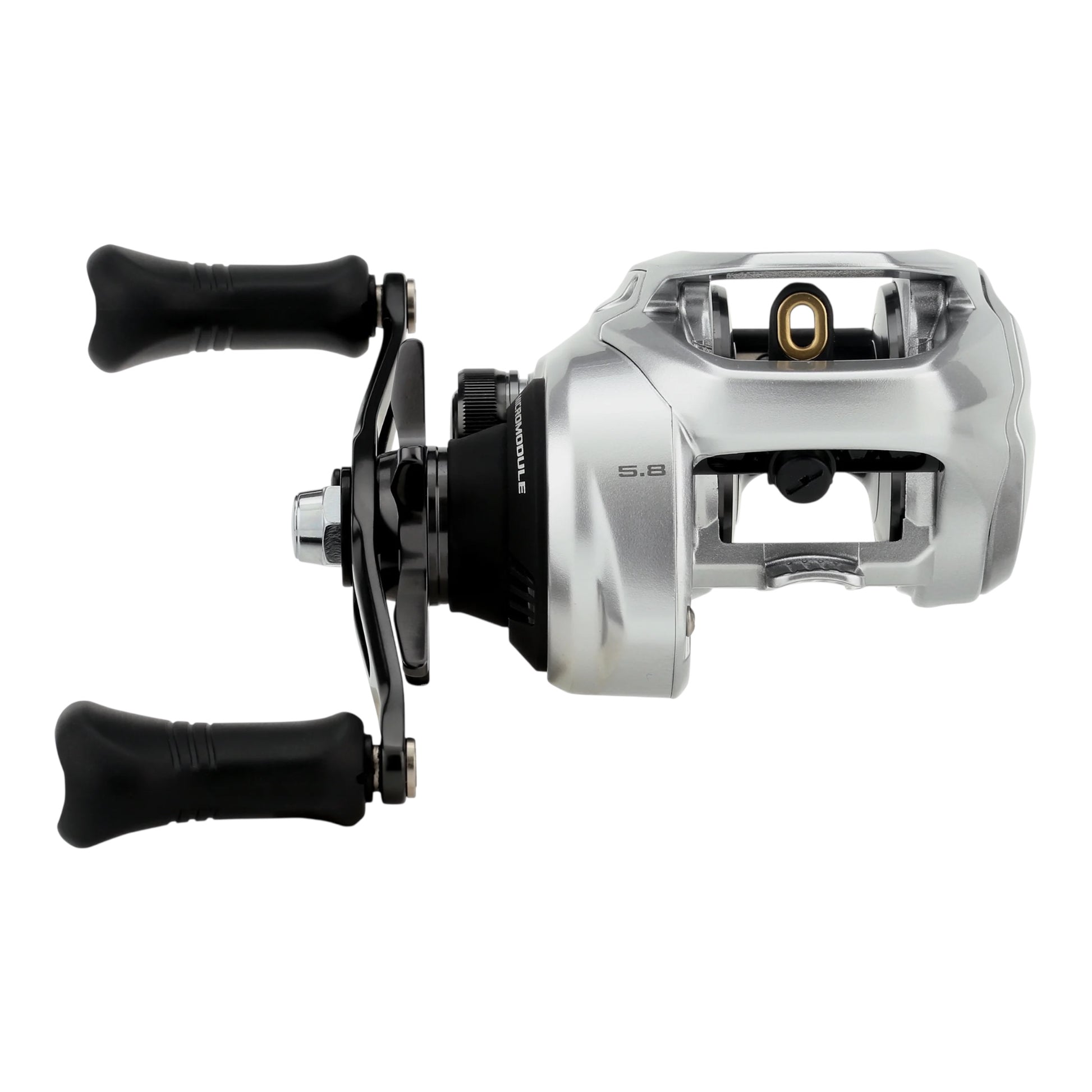 shimano 300 reel Shimano Tranx 300 B Casting Reel – Three Rivers Tackle