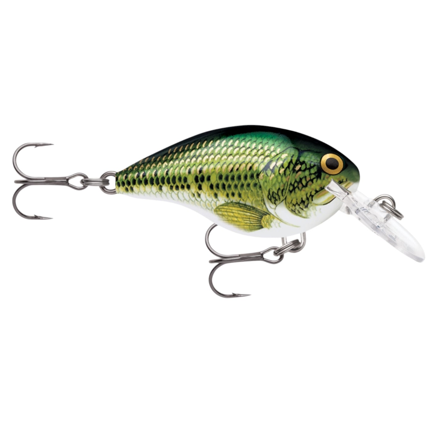 Rapala DT6 Series Crankbaits