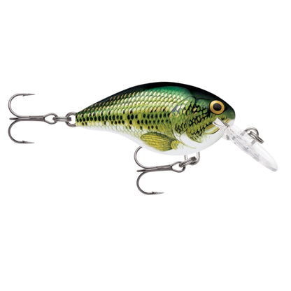 Rapala DT6 Series Crankbaits