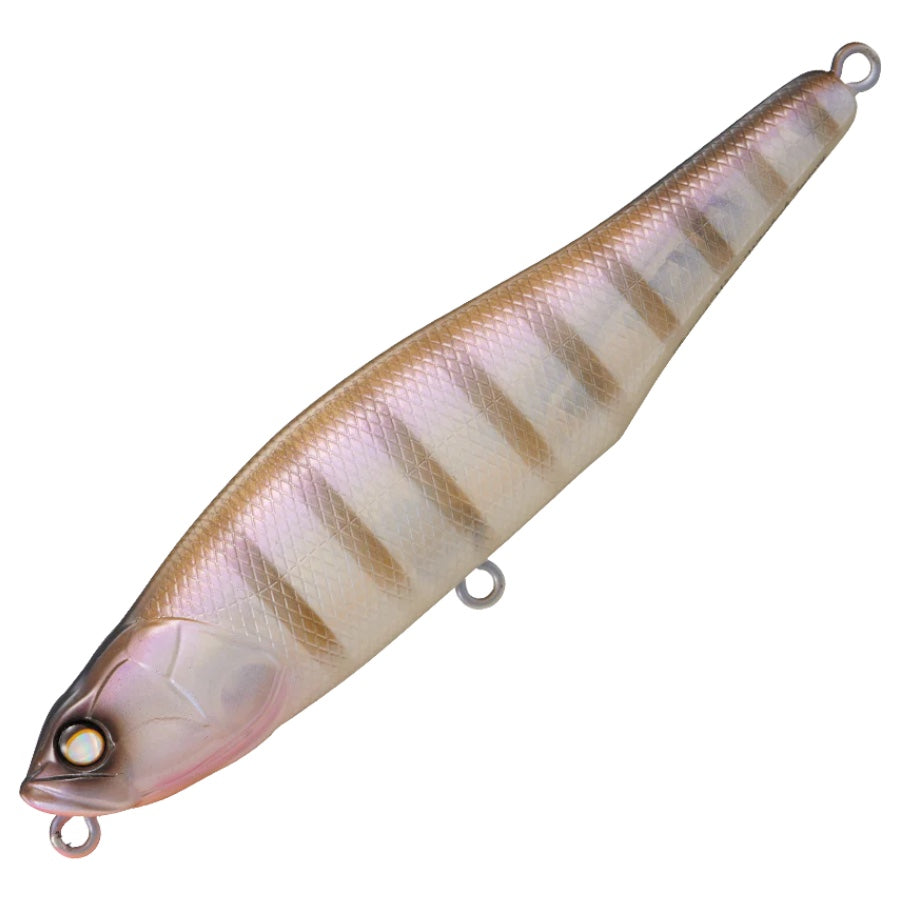 Whiplash Factory Drivin Wire Topwater Walking Lure – Three Rivers