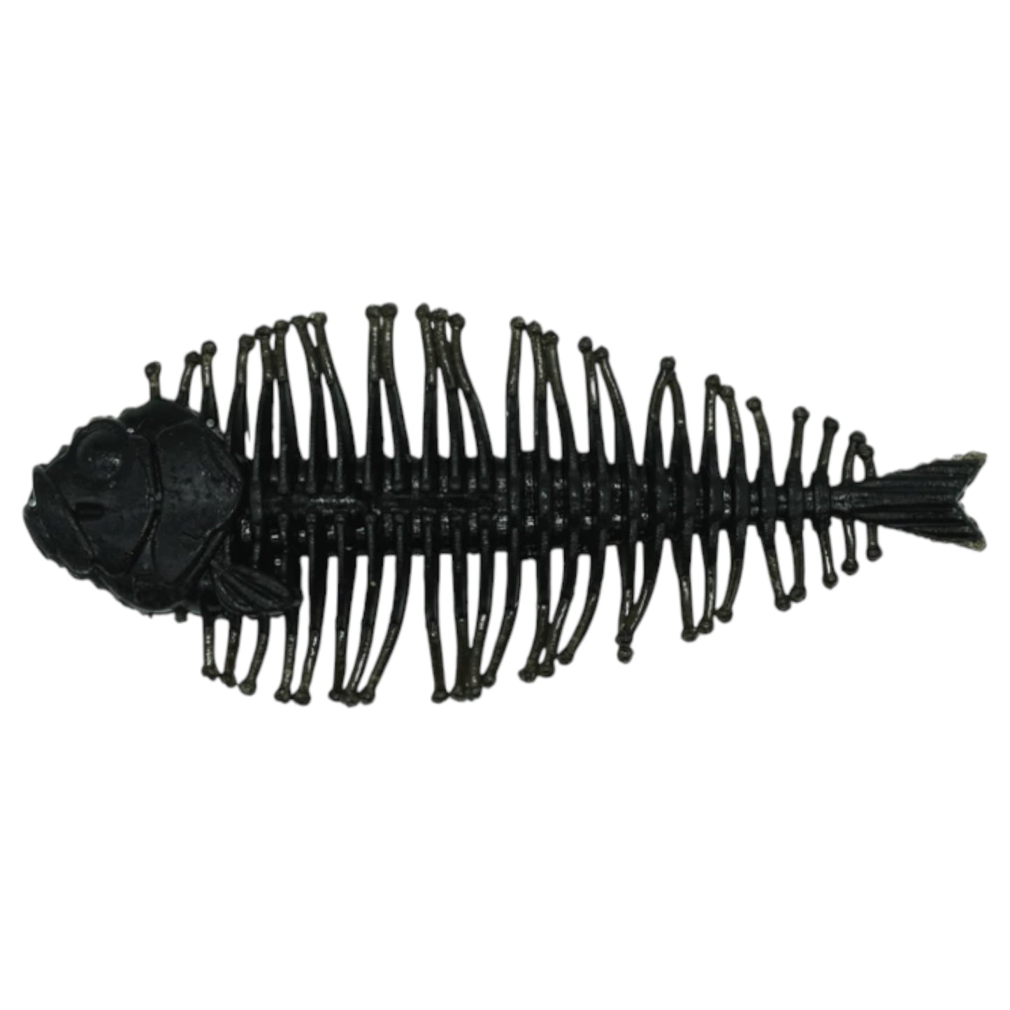 DStyle Geelacanth