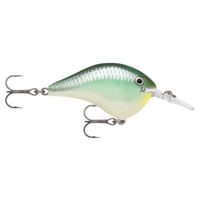 Rapala DT6 Series Crankbaits