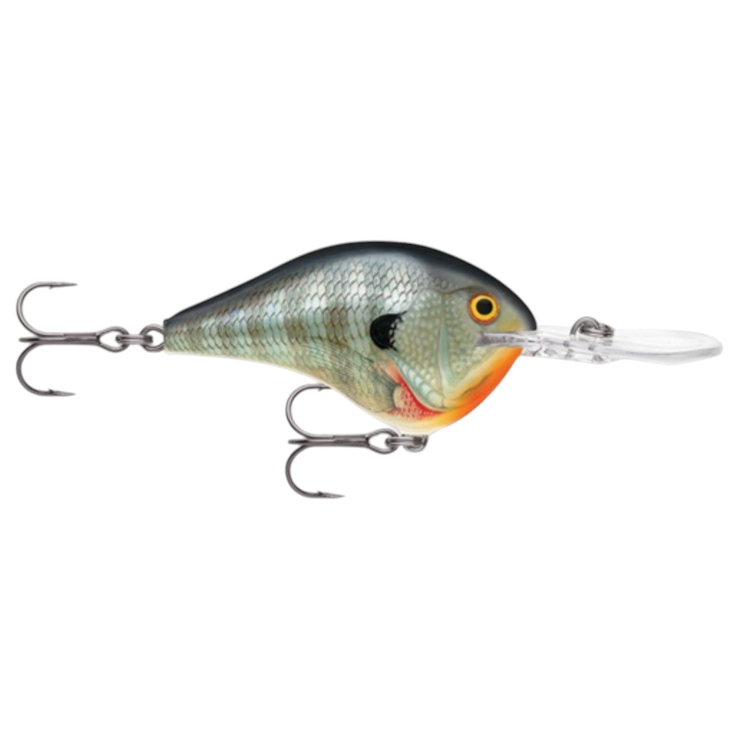 Rapala DT12 Series Crankbaits