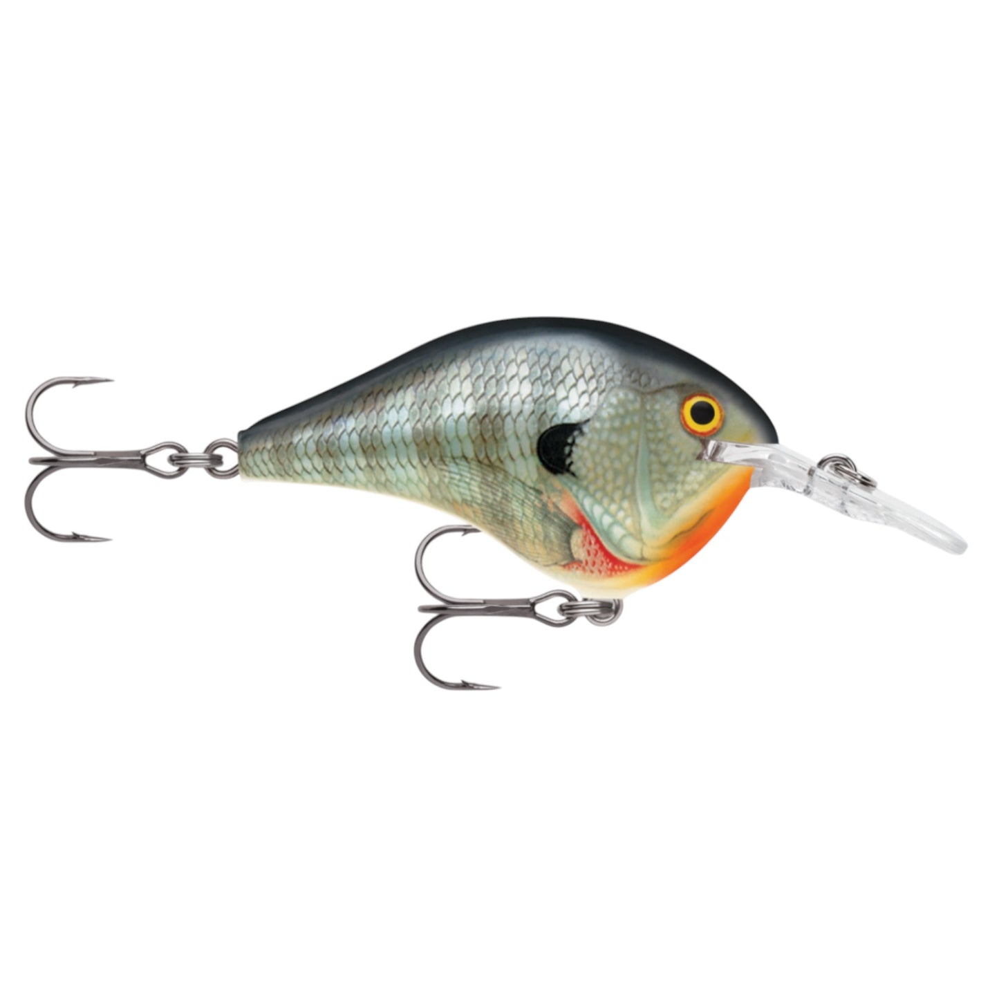 Rapala DT6 Series Crankbaits