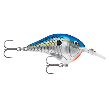 Rapala DT6 Series Crankbaits