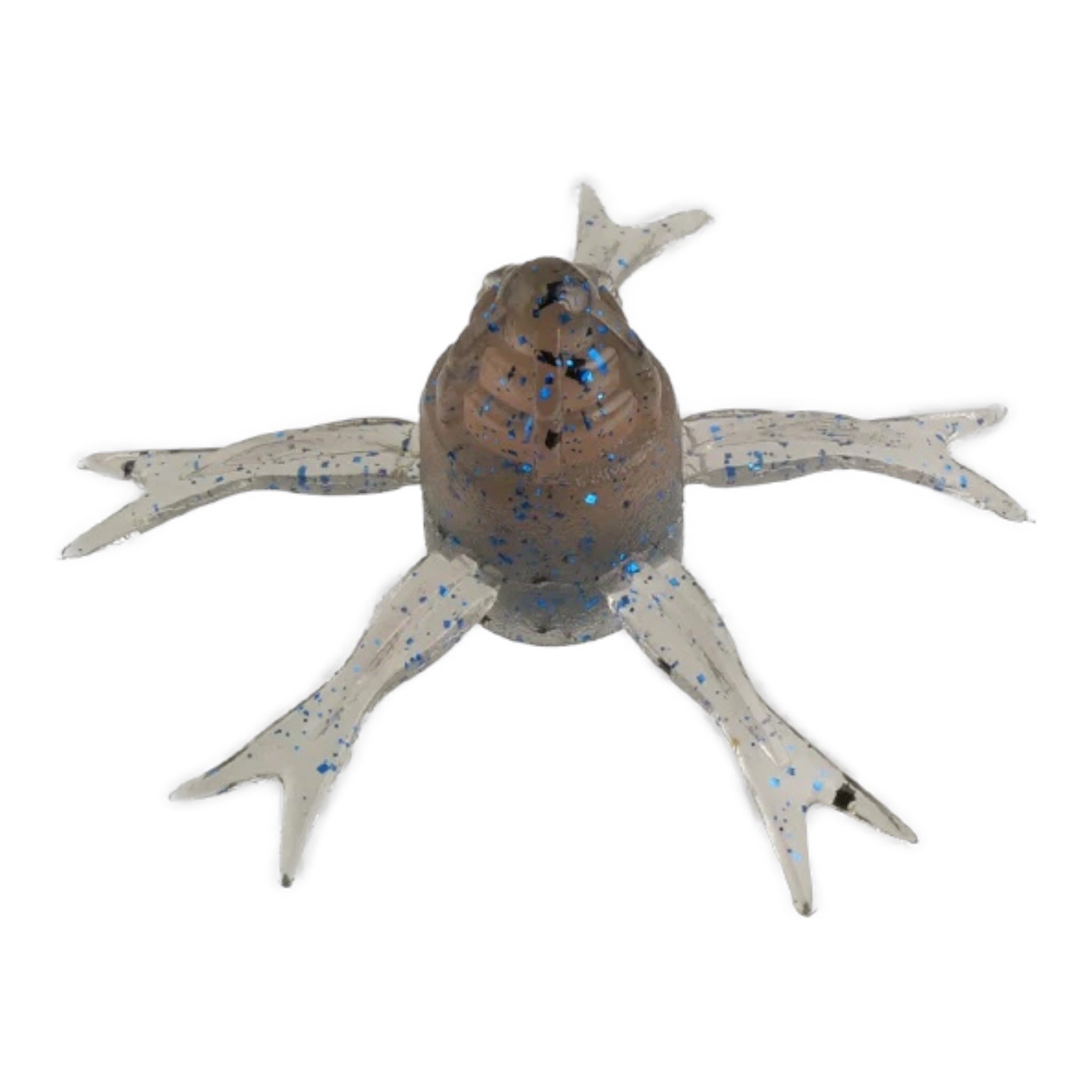 cinnamon_molting_shrimp_sq.jpg