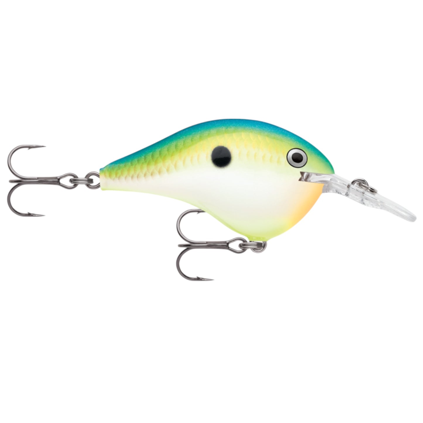 Rapala DT6 Series Crankbaits
