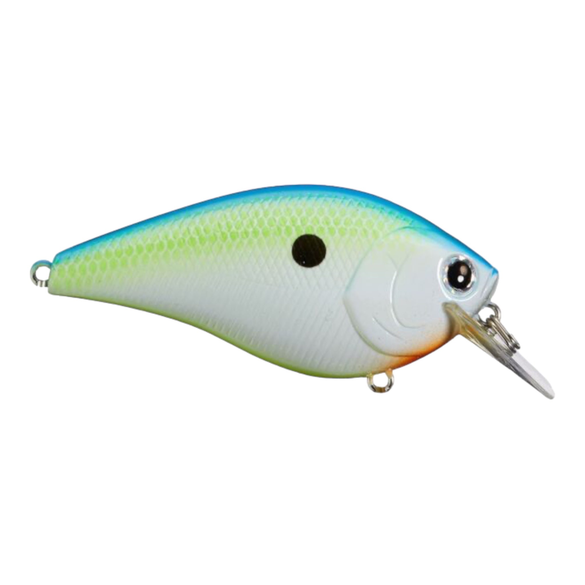 Lucky Craft LC 2.5 Crankbait – Citrus Citrus Color (428) – Top Quality Freshwater Fishing Lure, Made In Japan