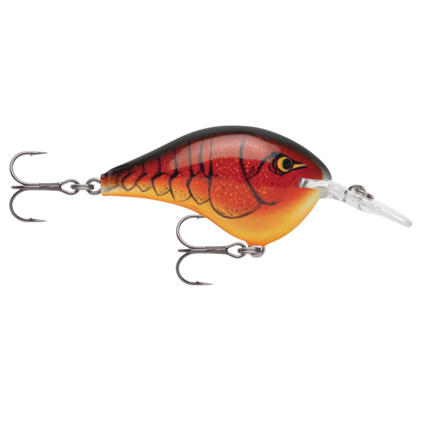 Rapala DT6 Series Crankbaits