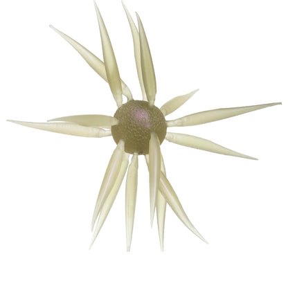 HideUp Coike Fish Elastomer L