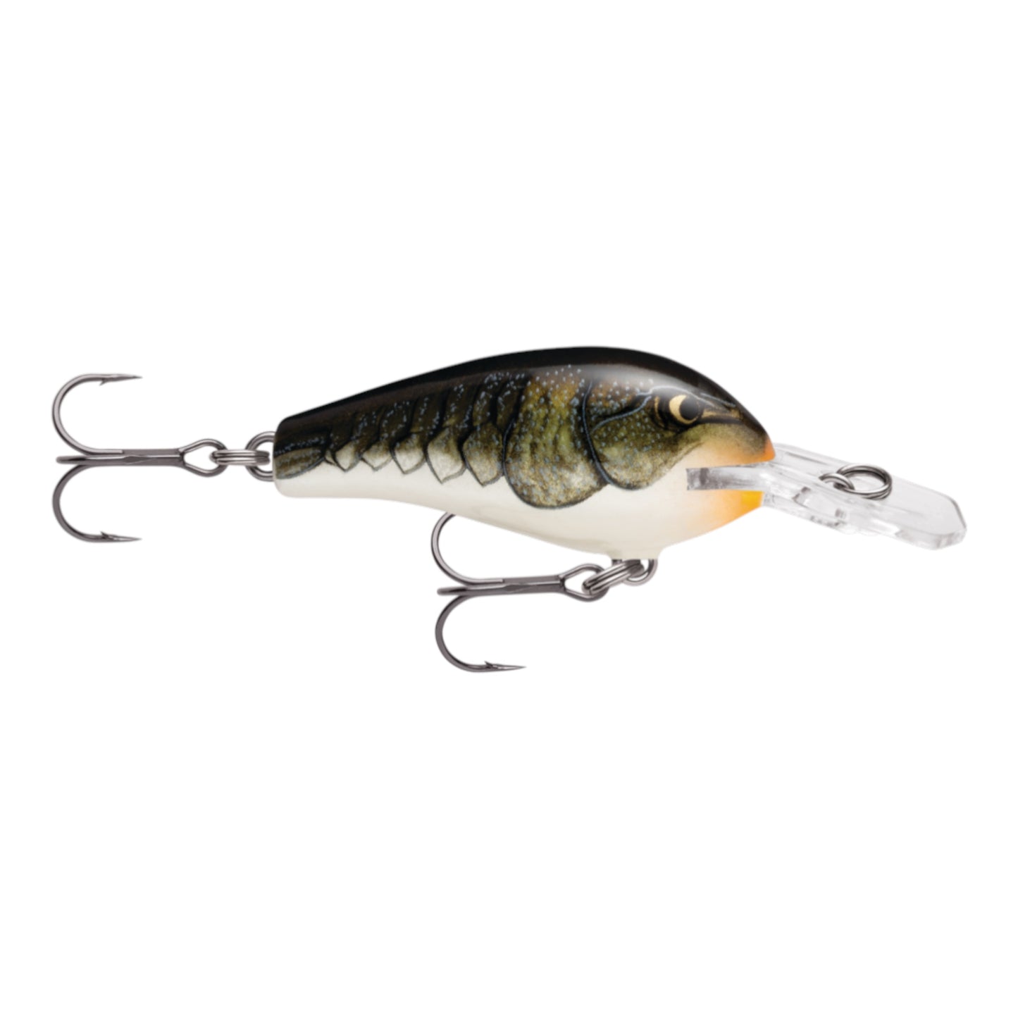 Rapala Fat Rap Crankbait