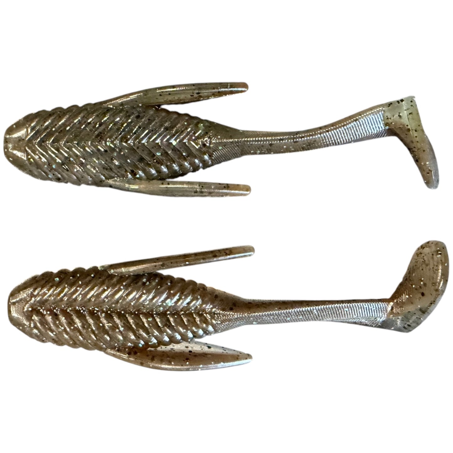 Fisher Brothers Bait Co Skull Fish