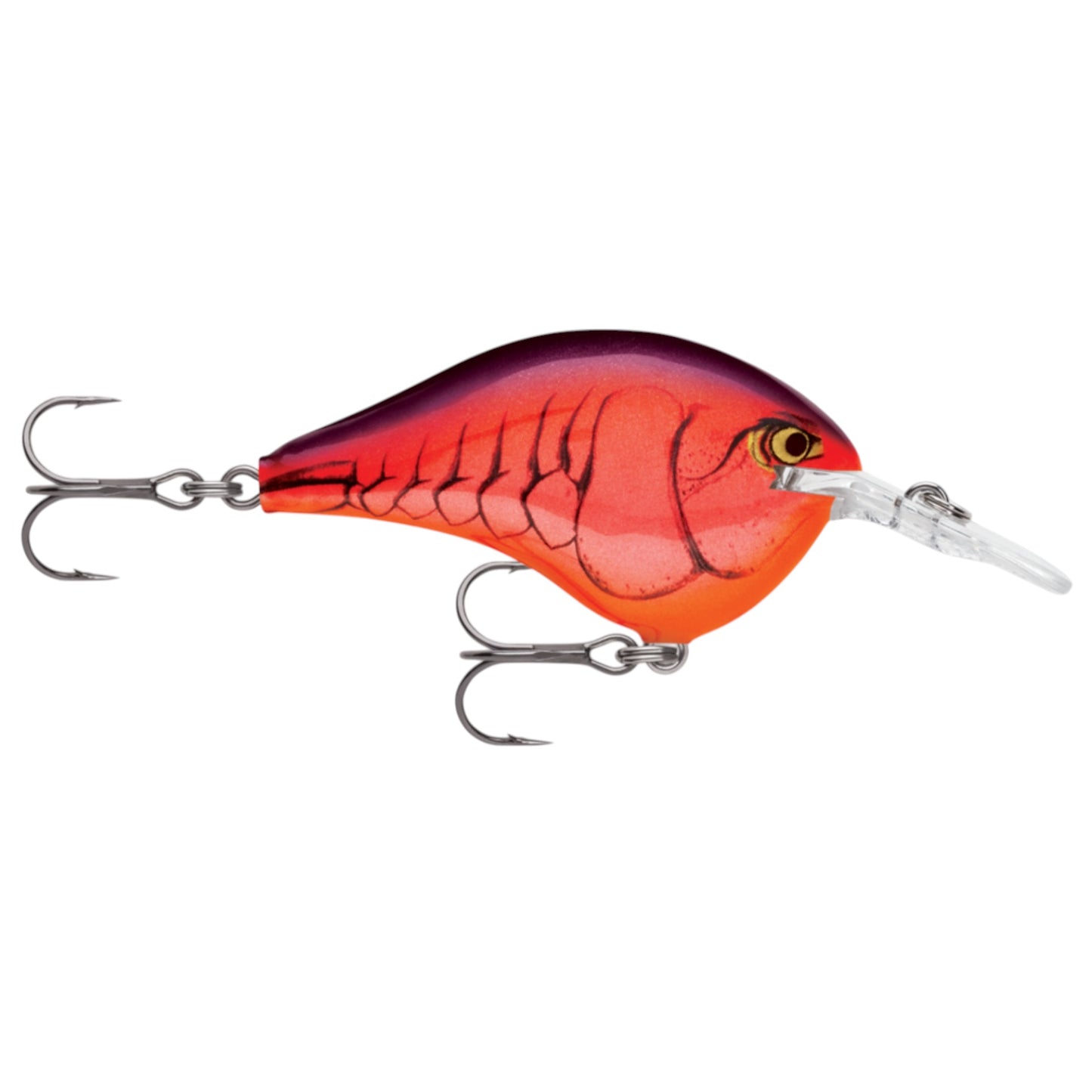 Rapala DT6 Series Crankbaits