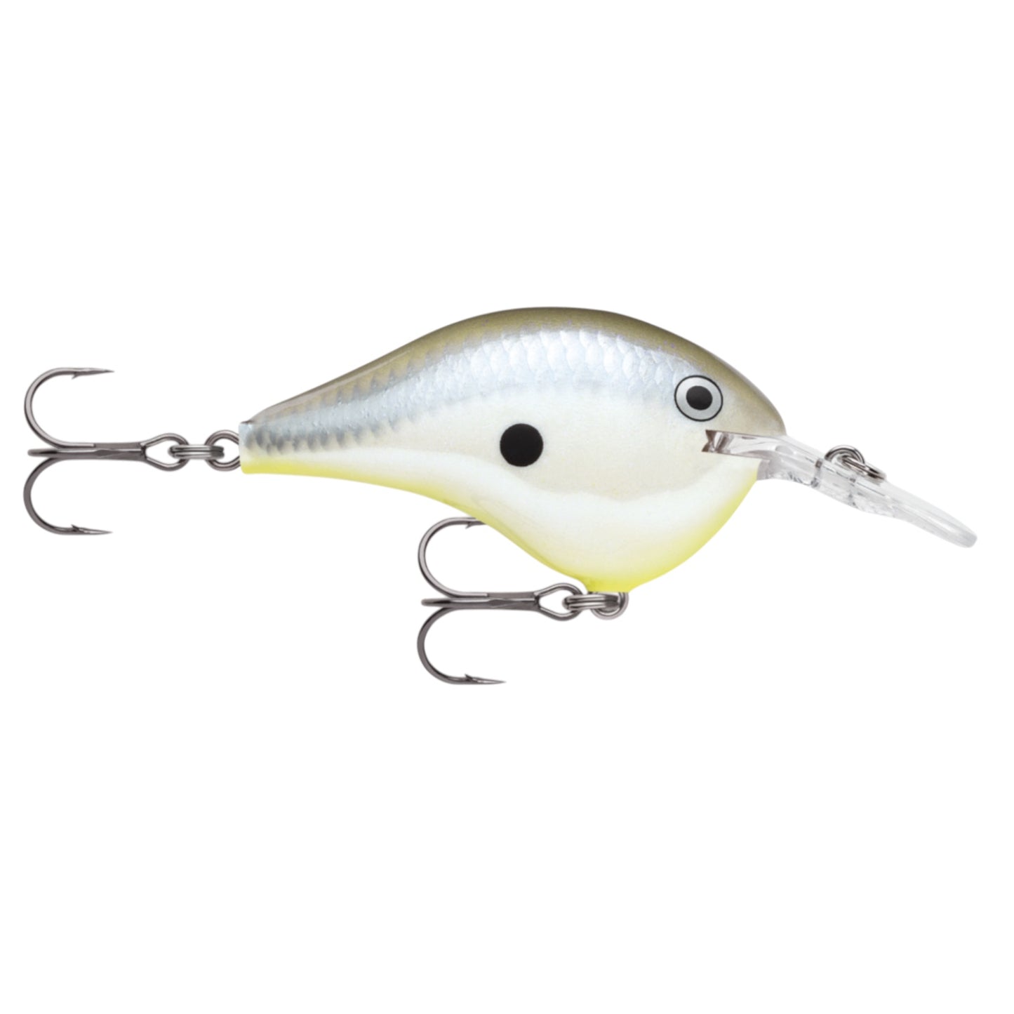 Rapala DT6 Series Crankbaits