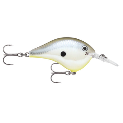 Rapala DT6 Series Crankbaits