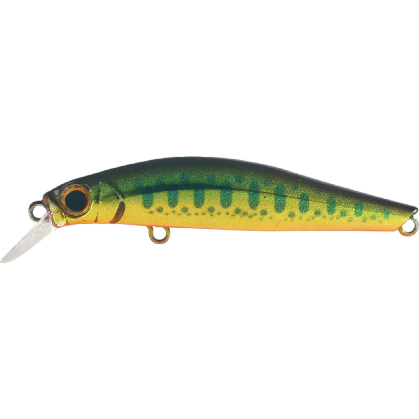 Jackson Artist FR 55 Trout Minnow