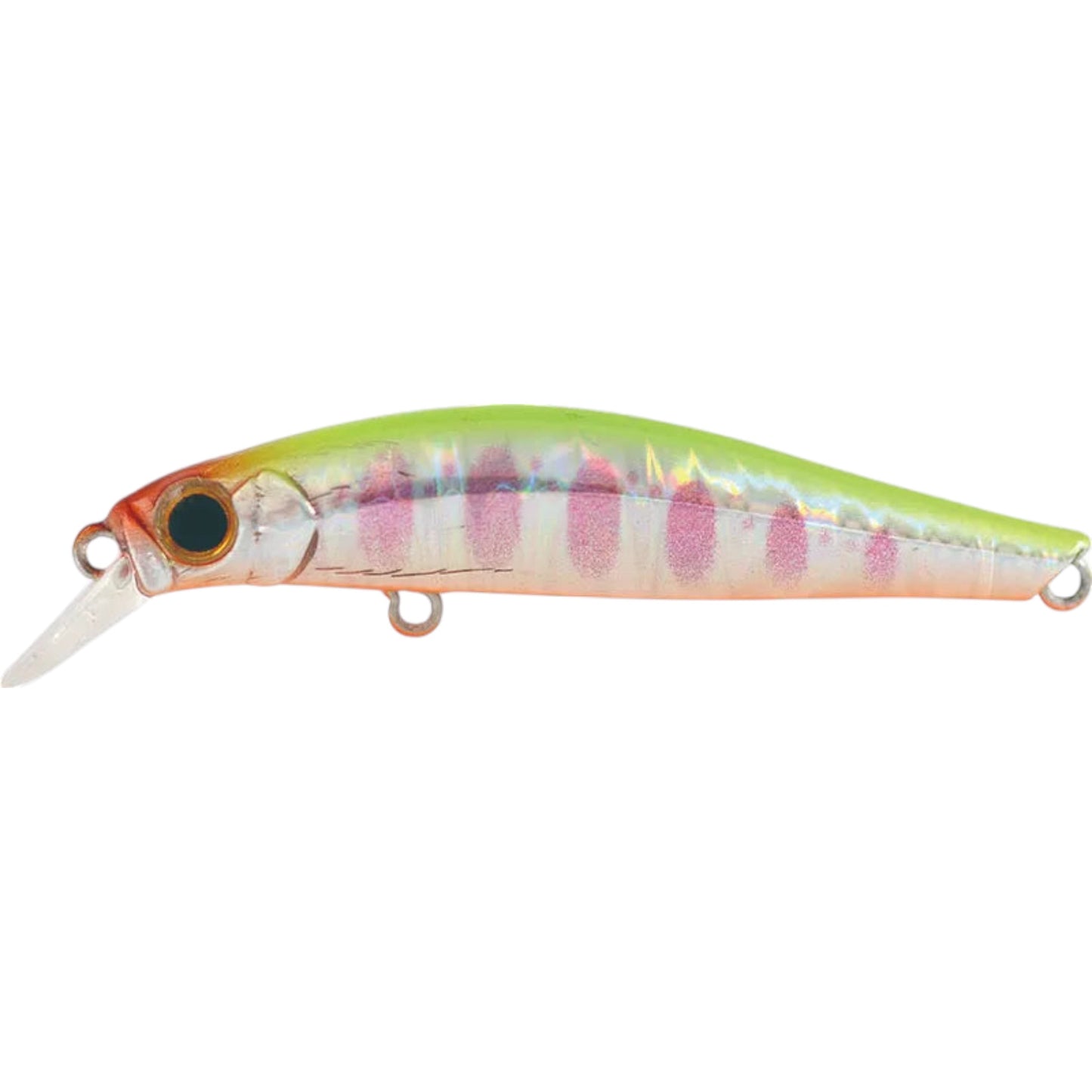 Jackson Artist FR 55 Trout Minnow