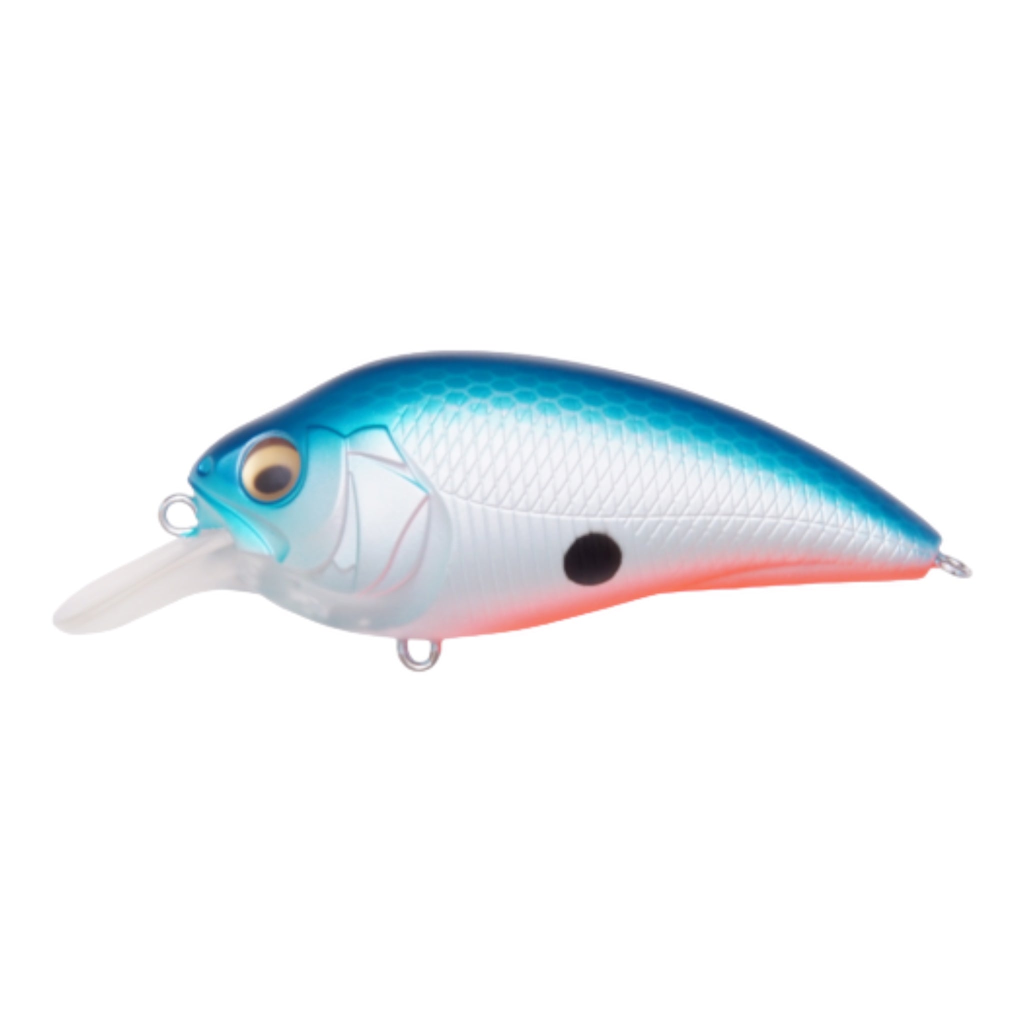 Megabass Super-Z Z1 Crankbaits – Three Rivers Tackle