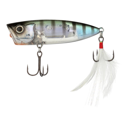 Shimano World Pop 69F Popper