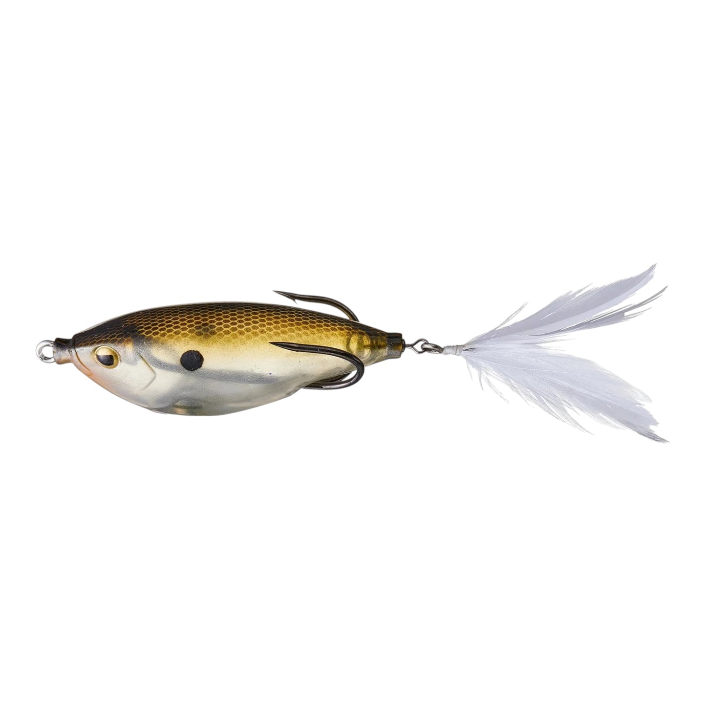 Teckel Sharker Frog