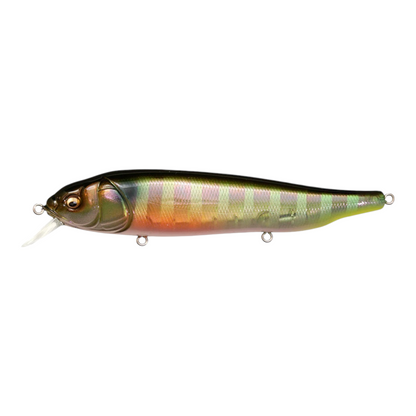 Poisson nageur MEGABASS Lates feedingwoofer FA Kawamutsu - Leurres durs Poisson nageur MEGABASS Lates feedingwoofer FA Kawamutsu - Leurres durs