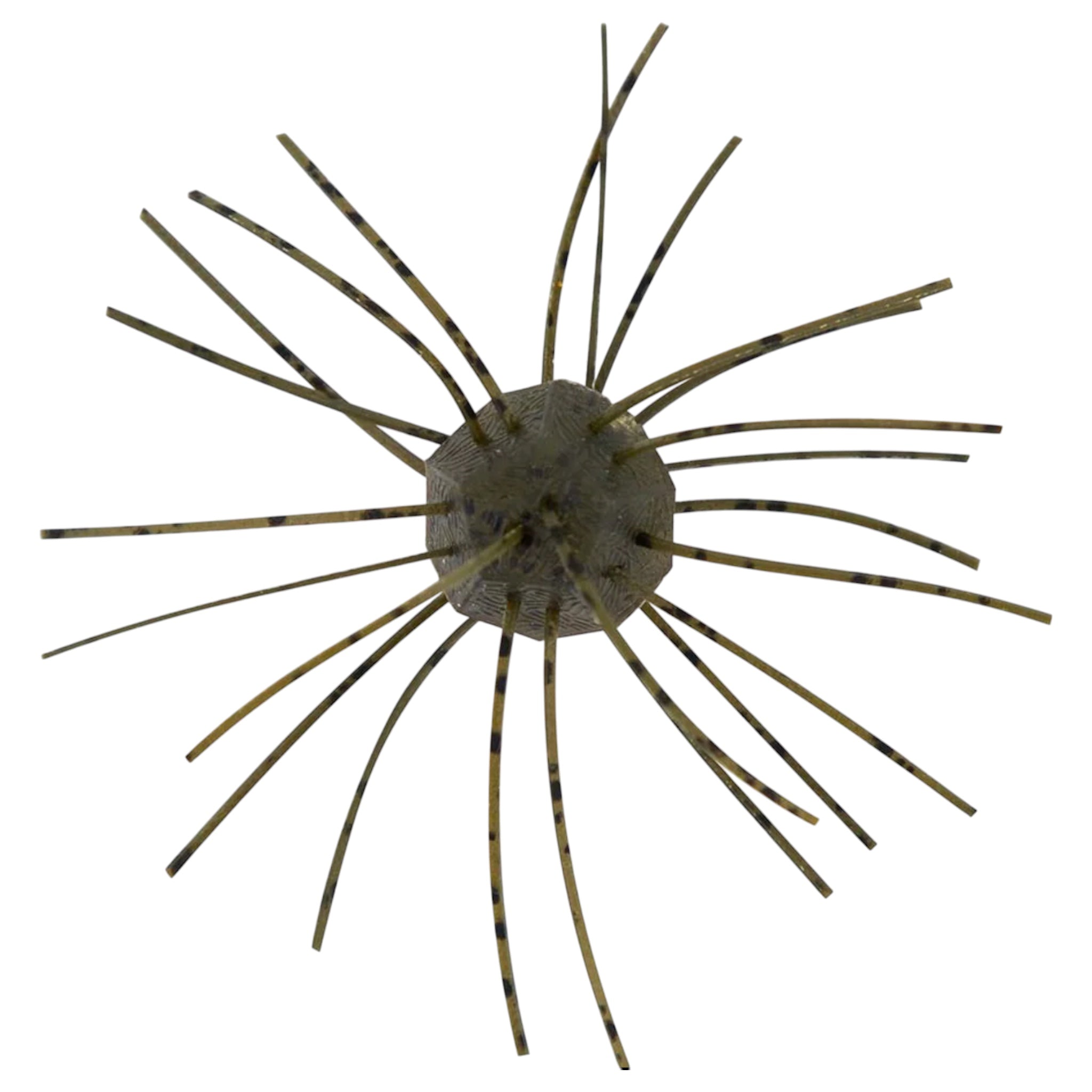 Z-Man Fuzzy Nuggetz – Three Rivers Tackle