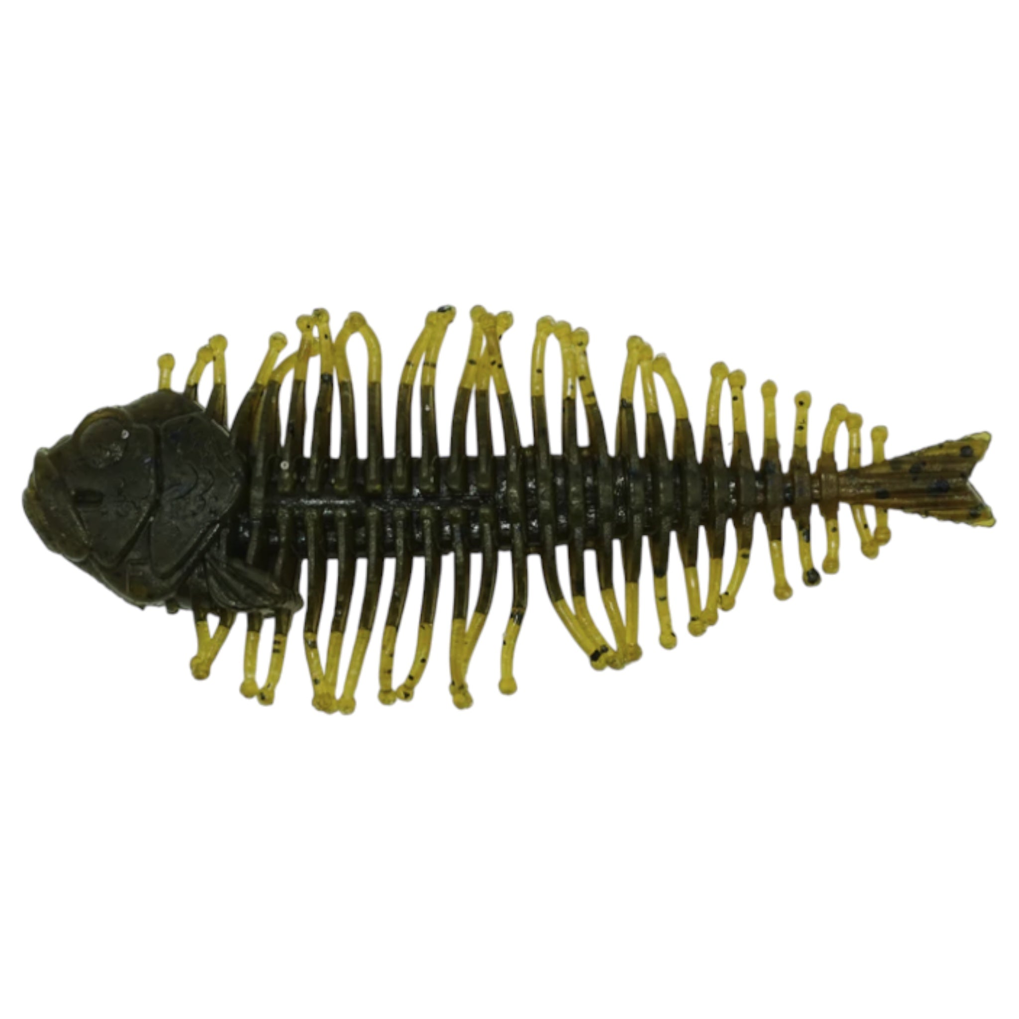 DStyle Geelacanth – Three Rivers Tackle