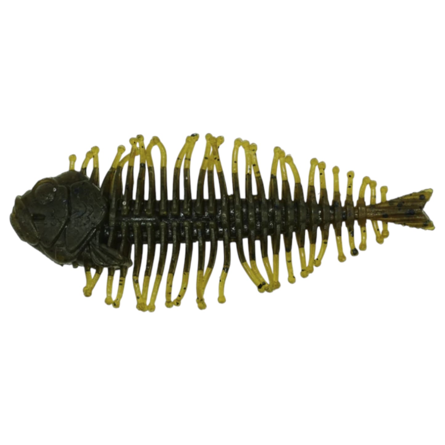 DStyle Geelacanth
