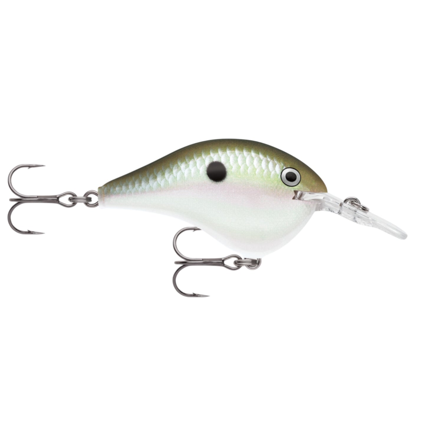 Rapala DT6 Series Crankbaits