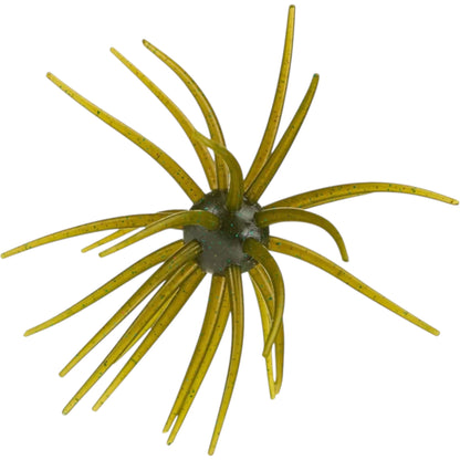 Hag's Bait Prickly Pear 19mm Urchin Bait