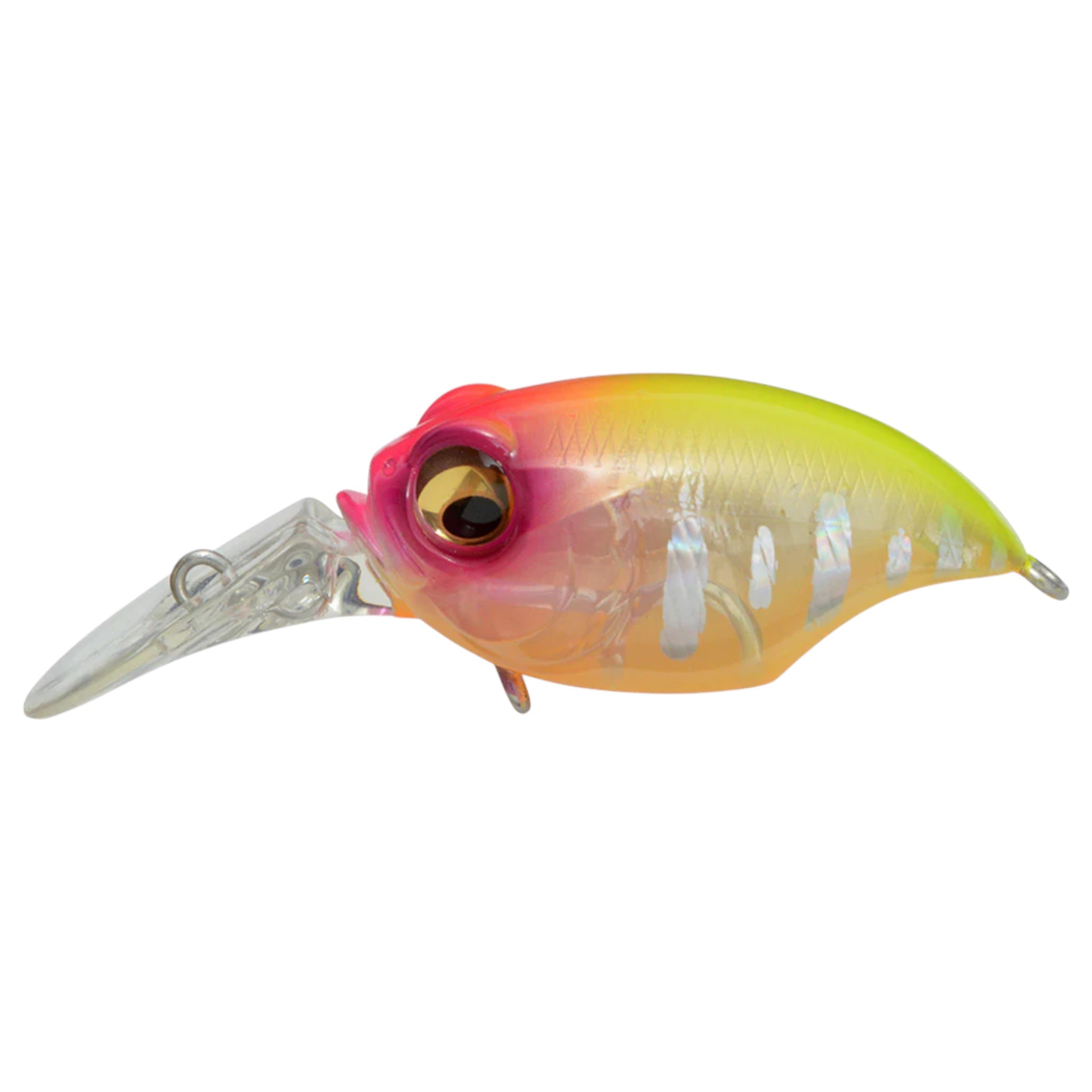 Megabass MR-X Griffon Crankbaits – Three Rivers Tackle