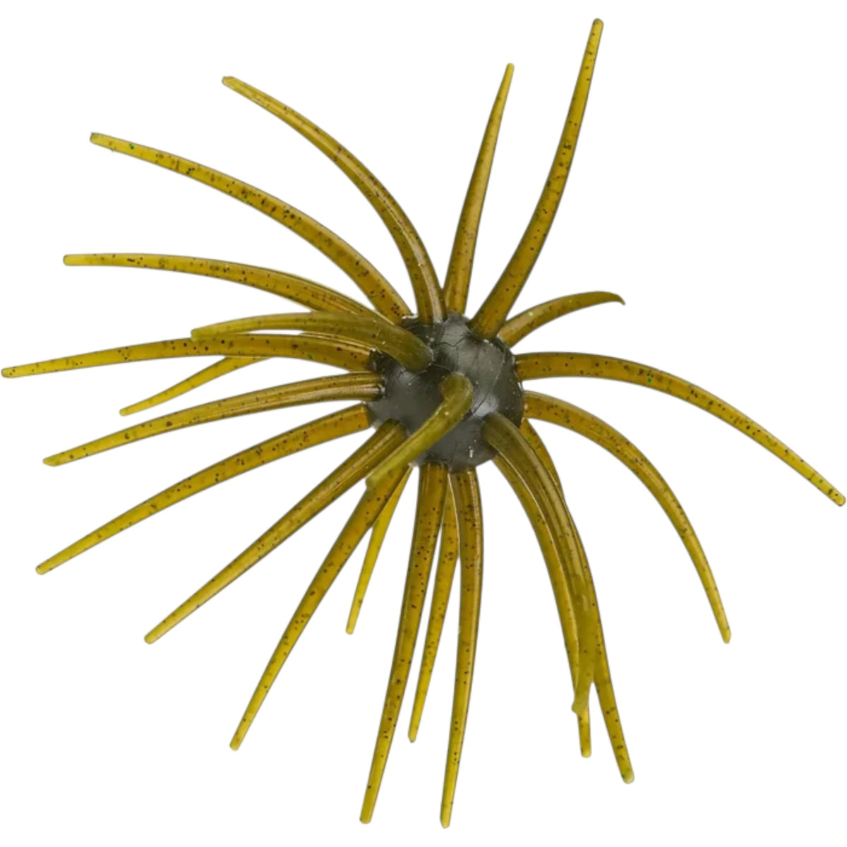 Hag's Bait Prickly Pear 19mm Urchin Bait
