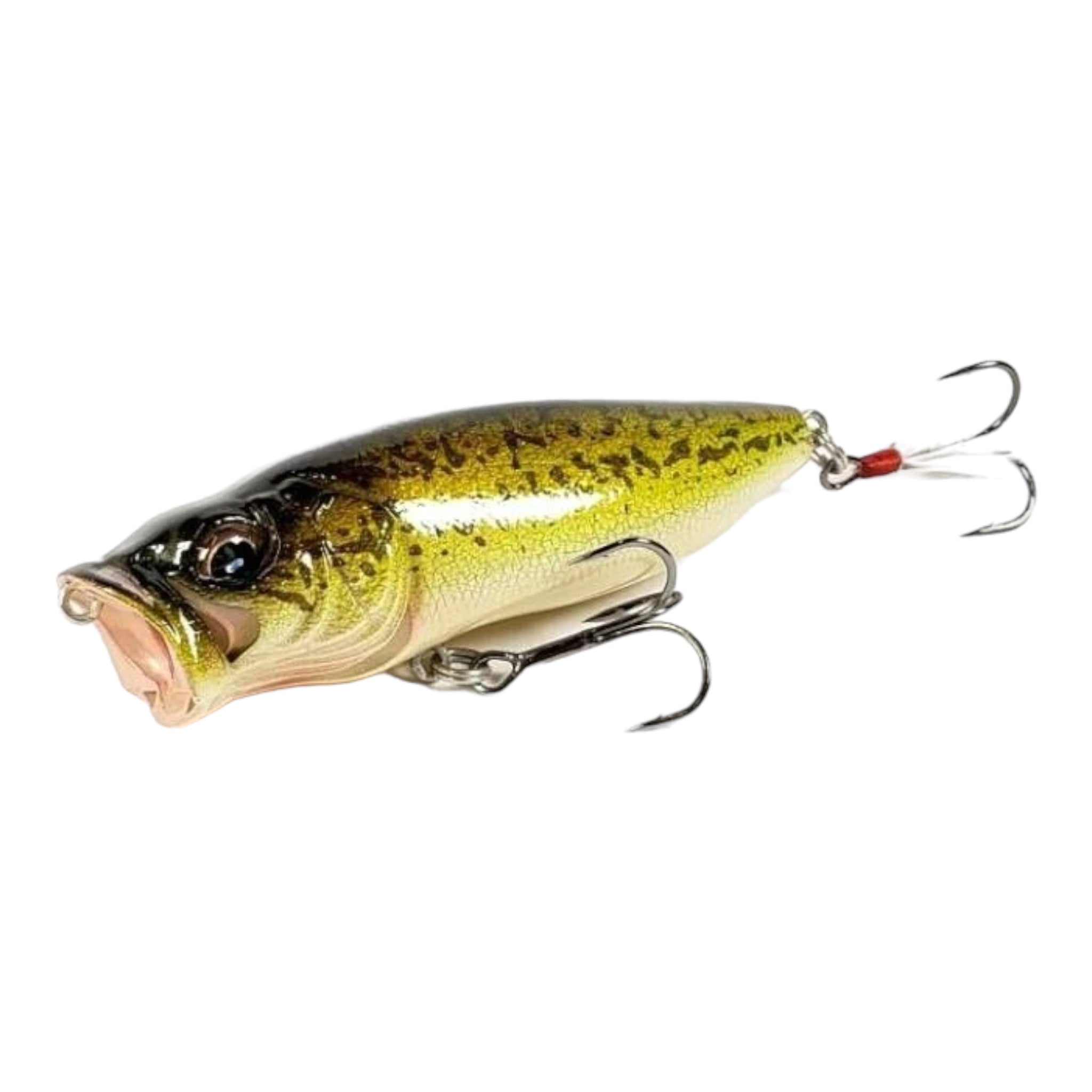 Megabass PopMax – Three Rivers Tackle