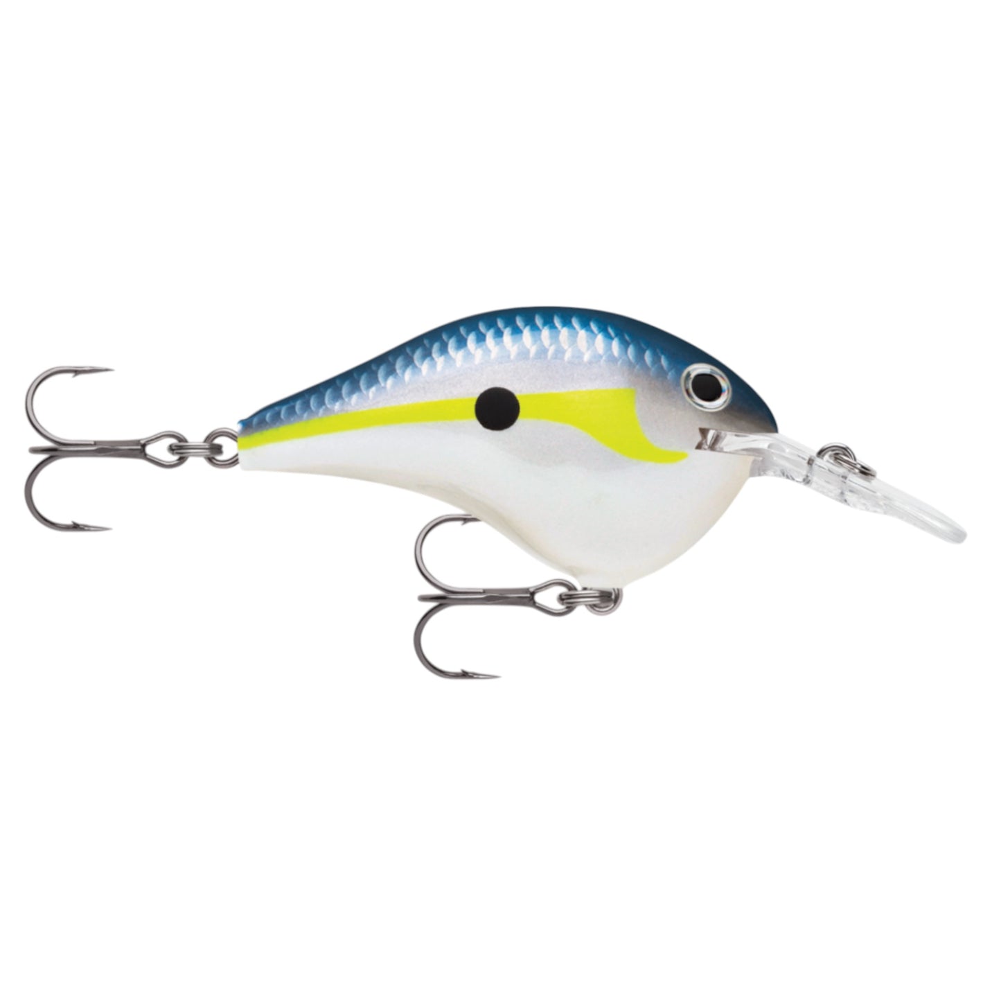 Rapala DT6 Series Crankbaits